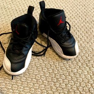 Jordan 12 Playoffs